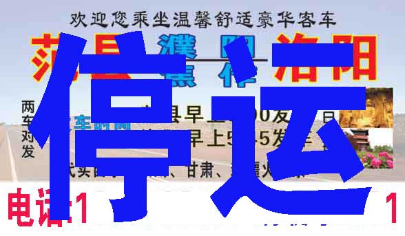 范县到洛阳名片正面
