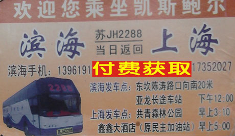 滨海到上海名片正面