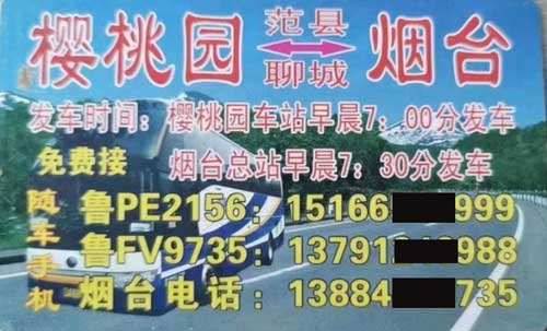 樱桃园到烟台名片正面