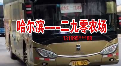 哈尔滨到二九零农场名片正面